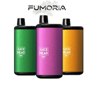 5000 Puffs / 5% (9 Goûts)