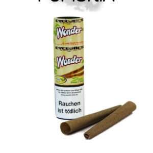 Cyclones Wonder Préroulé